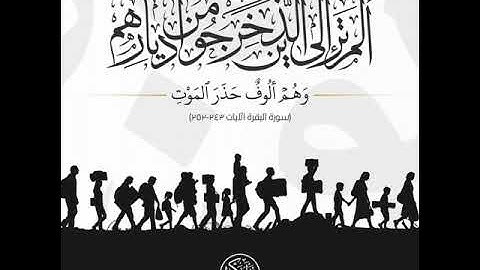 سورة البقرة ربع "ألم تر إلى الذين خرجوا من ديارهم وهم ألوف حذر الموت"  للشيخ وليد مصطفي