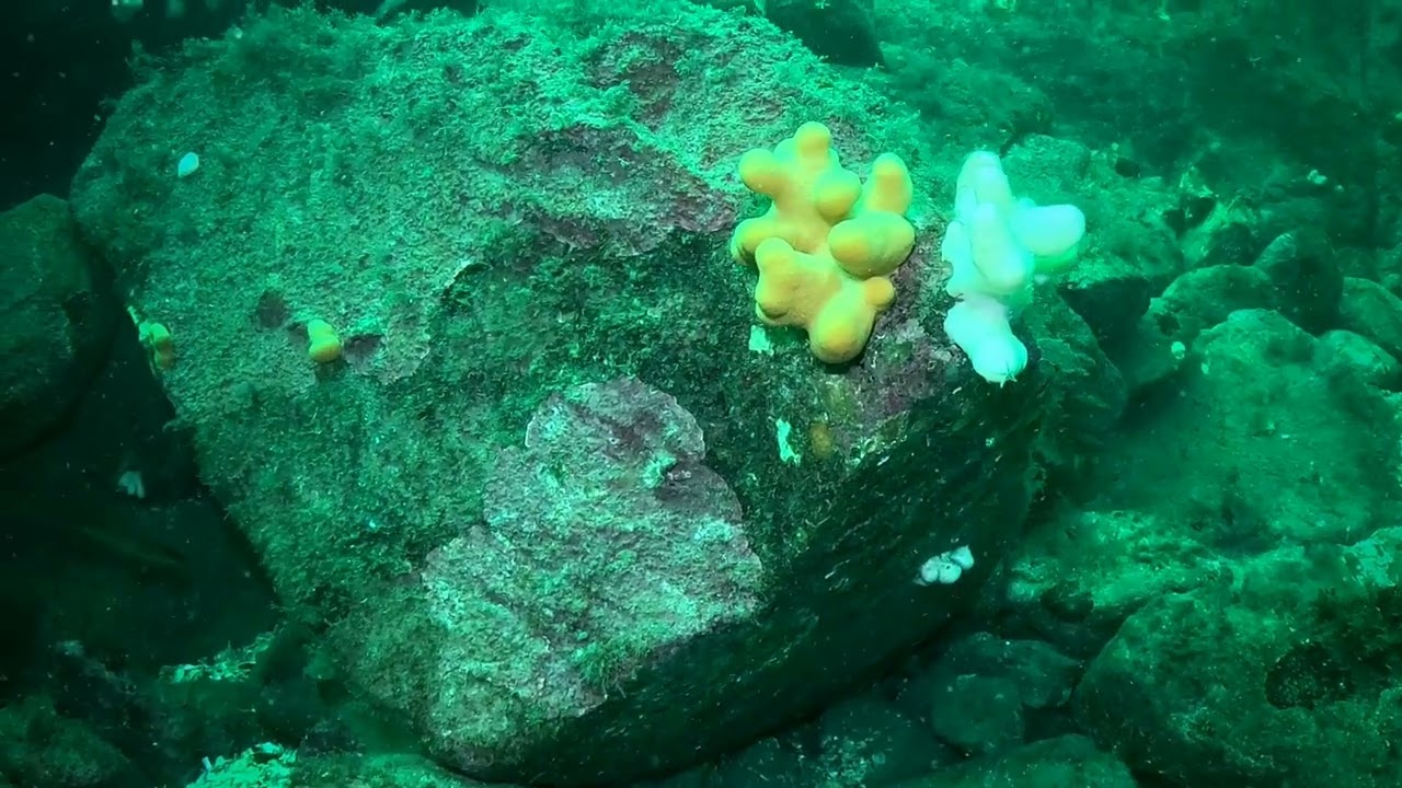 Väderöarne Sverige 2