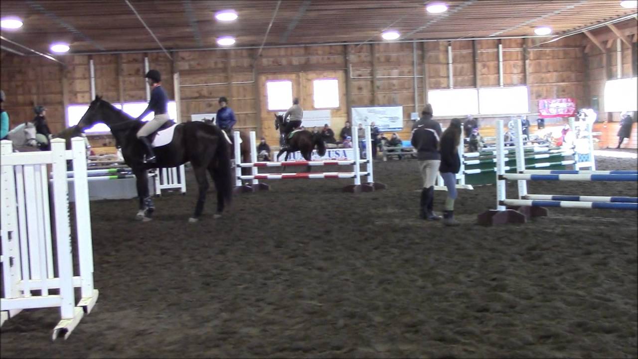 David Loman, Constant Star with Anne Kursinski