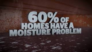 Celebrity Ox Foundation Solutions  Alabama Crawlspace and Foundation Specialist Wealth