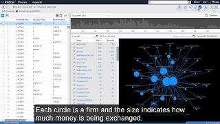Ringtail For Financial Investigations