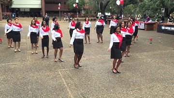Lambda Psi Chapter of Delta Sigma Theta Sorority, Inc. Founder