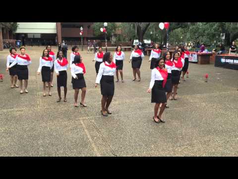 Lambda Psi Chapter of Delta Sigma Theta Sorority, Inc. Founder's Day Presentation 2015