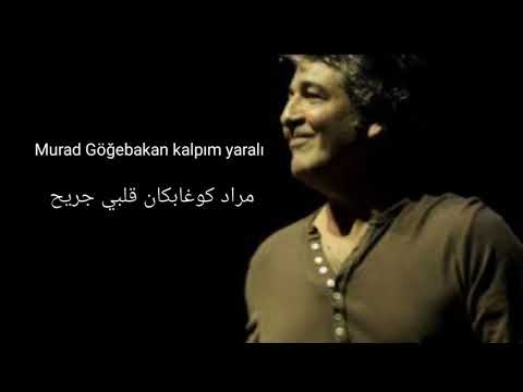     مترجمة قلبي جريح