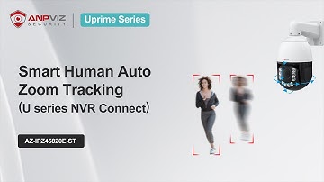 How to Set PTZ Camera Preset and Cruise U series NVR Connet