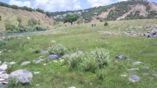 Xemgin Birhat-Xêribêy Tuje-Xêribey Zore