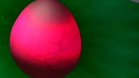 HATCH EVENT | How to get the EGG in BULKED UP (2025) ROBLOX