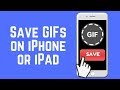 How to Save GIFs to iPhone or iPad the Easy Way 2018