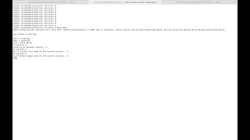 CS 202 Advanced operating system Lab 1 Demo