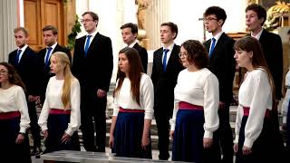 Daniel Elder - Ave Maria