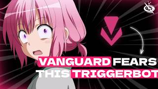 Insane Valorant Triggerbot on High Elo - Results Shocked Everyone...