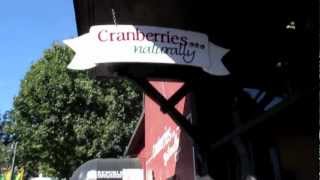Cranberries Naturally celebrating the Fort Langley Cranberry Festival