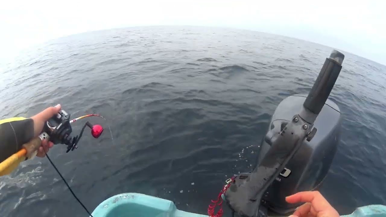 20260214 伊島沖　メジロ　マダイ　タイラバ　ジギング　しましま号