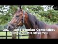 Three-time Hambletonian-winning Team Svanstedt is chasing a fourth and Magic Punk has his sights set on the Grade 1, $1 million Winning Key Farm Hambletonian. A stop at Legend Farm is the next installment of our Hambletonian Contenders Series. #harnessracing

Presented by: @TheHambletonian