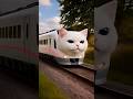 🥰 Cute Billi Wala Train Aur Anaya ❤️ #shorts
