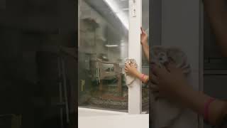 Hatice Değil Mi O Kız Hatçe