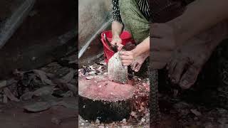 তেলাপিয়া মাছ 🐟🐟 কাটার বিডিও #shorts #viral #foryou #trending