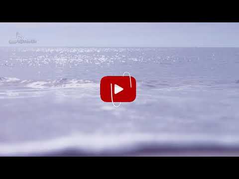 Dark Rose I Let Babylon Burn I Karaoke Cover