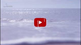 Dark Rose I Let Babylon Burn I Karaoke Cover