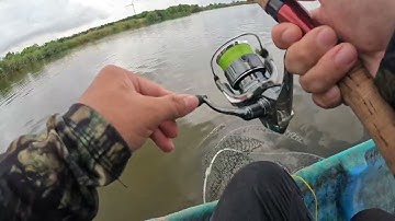 Câu cá Hanh, Tráp. Cá ăn mạnh vào mùa mưa, mùa chưa gió chướng ( Bình Đại )