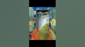 Grass, corn animal feed pellet machineGrass, corn animal feed pellet machine