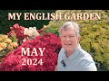 May in flower tour  my english garden   2024