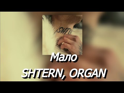 💛Текст песни "МАЛО" (SHTERN, ORGAN) ["ПЕРВЫЙ"]