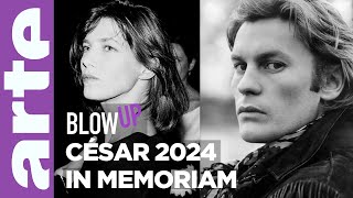 César 2024 : In memoriam - Blow Up - ARTE by Blow Up, l'actualité du cinéma (ou presque) - ARTE 31,866 views 2 months ago 5 minutes, 53 seconds