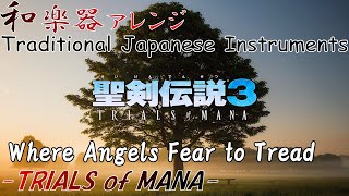 TRIALS of MANA "Where Angels Fear to Tread" arranged with Japanese Instruments