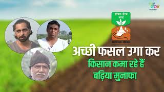 अच्छी फसल उगा कर किसान कमा रहे हैं बढ़िया मुनाफा