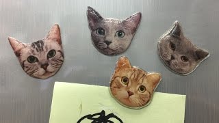 【UVレジン 100均】お気に入りの写真で猫マグネットを作ってみました!　【初心者】resin Cat magnet