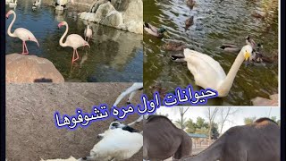 حديقه حيوان العرين من اجمل الحدائق واندر الحيوانات  sea animals for kids the zoo