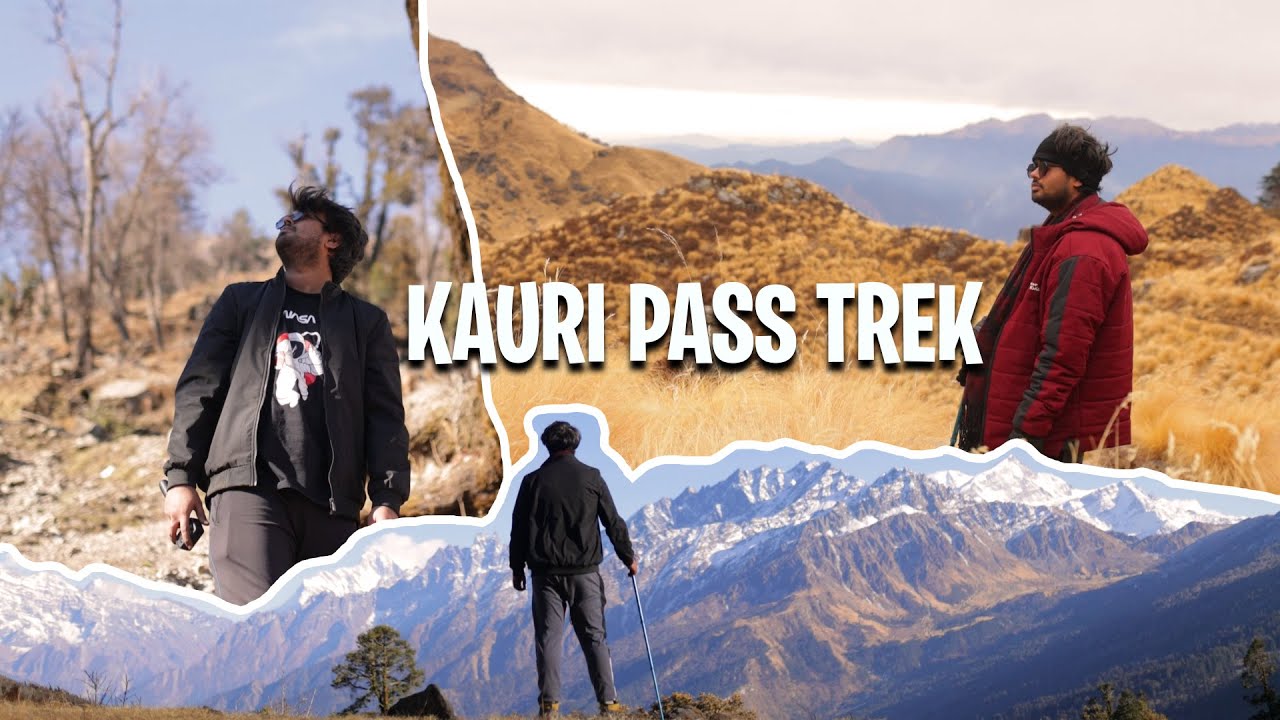 JOURNEY TO KAURI PASS