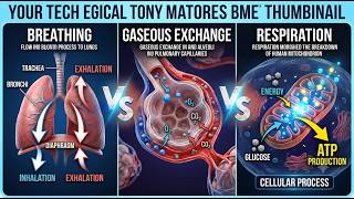 Respiratory system explanation in 3 min concept clear  breathing gaseous exchange  and respiration