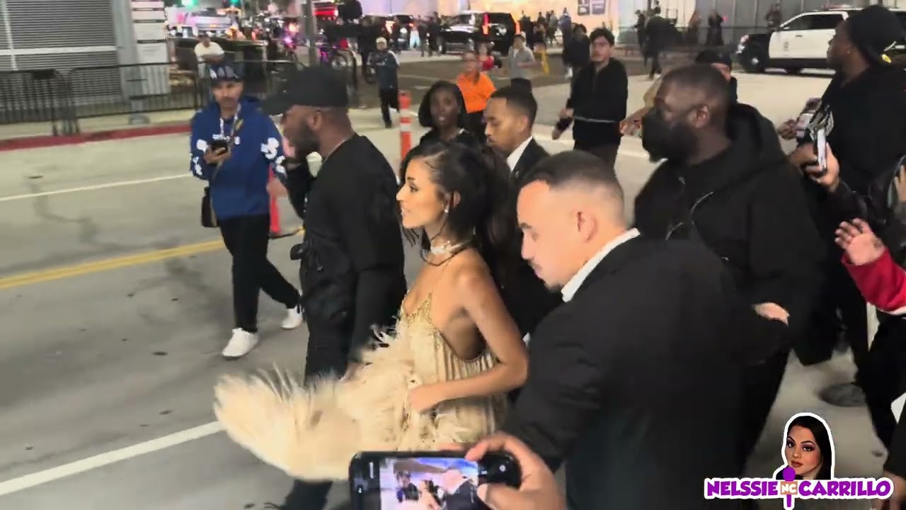 Тайл преследуют фанаты после церемонии вручения премии «Грэмми».