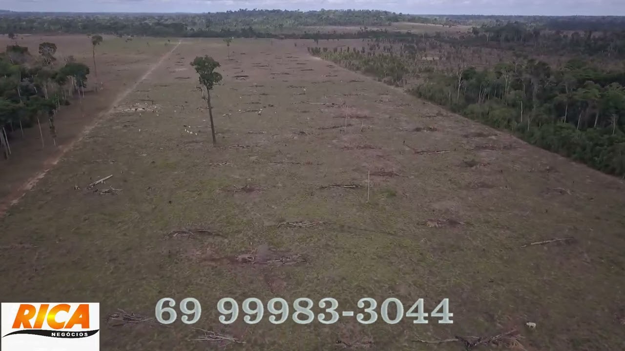 Fazenda, 537 hectares, à venda por R$ 3.400.000- Área Rural - Porto Velho/RO