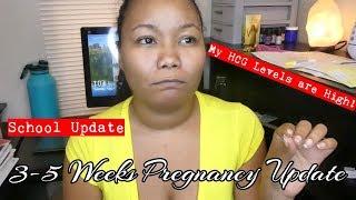 3-5 Weeks Pregnancy Update | My HCG Levels are High! | School Update | Life With Vicki