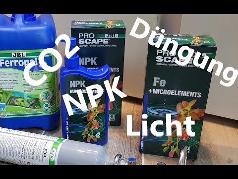 Aquarium Düngung | JBL ProScape | Licht | CO2 | Einsteigertipps #7