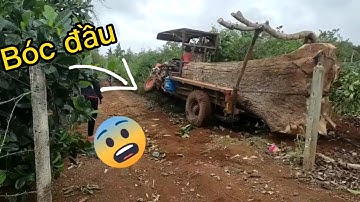 Màn bốc đầu của chiếc công nông cầu đẩy khi chở gỗ cực chất