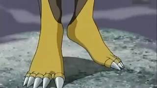 Suggested Feet Video Bakugan New Vestroia, Episodes 8 & 13