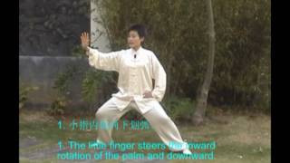 Chen Style Taiji Twining Technique 陳氏太極纏絲功 -- 顧青 Susan Gu