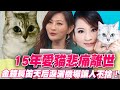 15年愛貓悲痛離世   金鐘長笛天后淚灑機場讓人不捨！