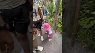 Must Haves For Disney