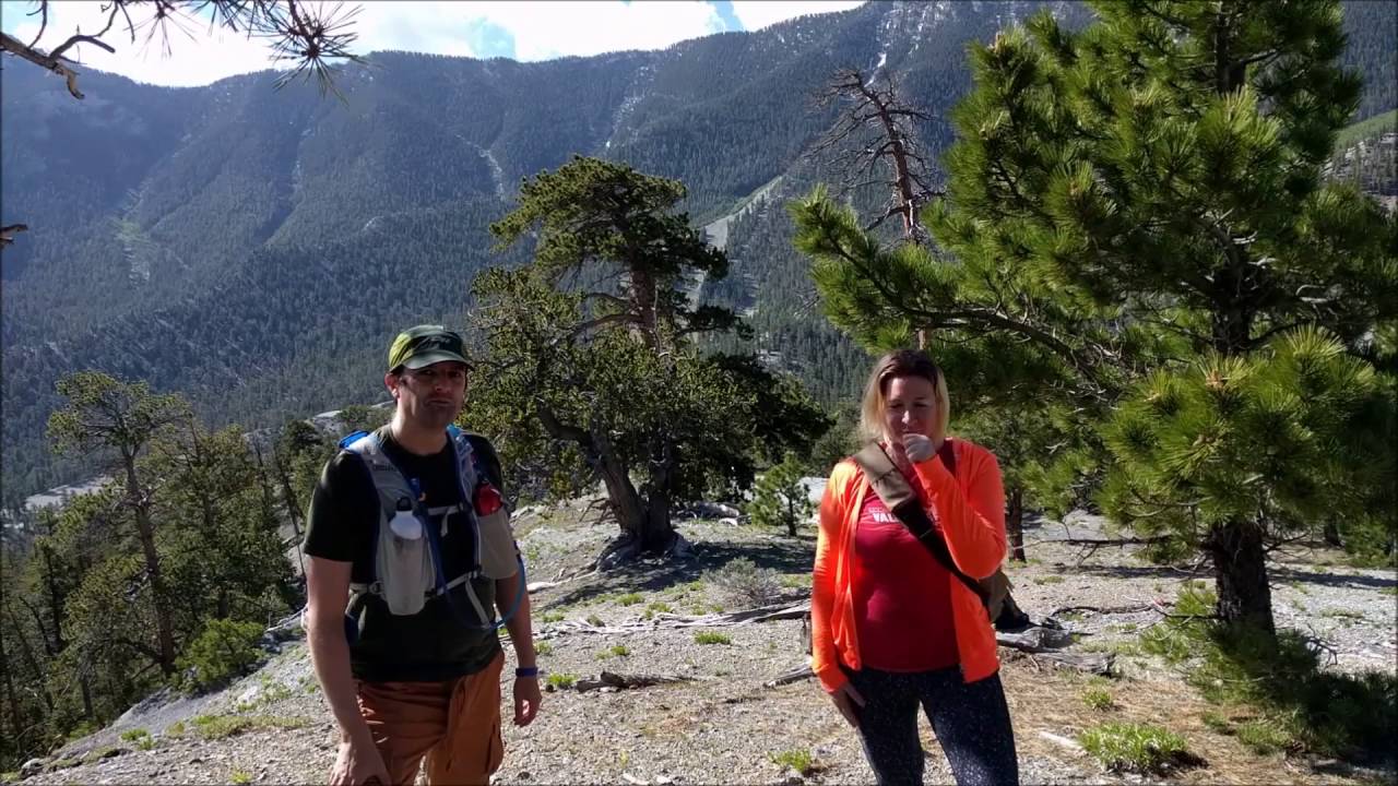 travel rock bariloche Beat the Heat on the Bristlecone Trail