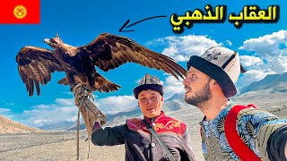 هكذا يصيدون فرائسهم في قيرغيزستان 🇰🇬 Kyrgyzstan Eagle Hunters