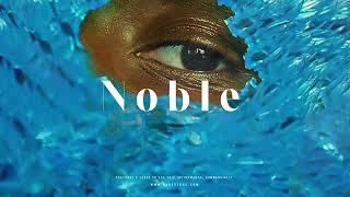 Wizkid Ft Burna Boy - Noble Afrobeat Instrumental 2024