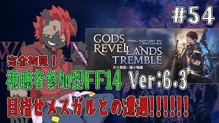 【視聴者参加型FF14】大鎌って実際武器として使うとめっちゃ使いづらそう【パッチ6.3】