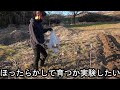 ジャガイモを植えます