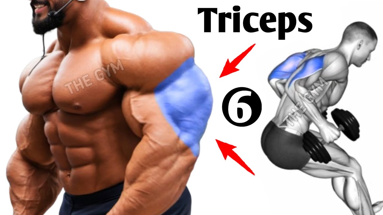 6 Magic Exercises to Big Triceps Workout At Gym - YouTube