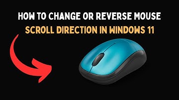 How to Change or Reverse Mouse Scroll Direction in Windows 11